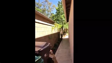 RISKY SEX IN MY NEIGHBORS BACKYARD WITH MY GIRLFRIEND XHamster