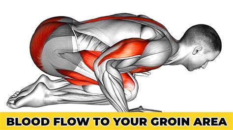 3 Male Pelvic Floor Exercises To Increase Blood Flow To Your Groin Area