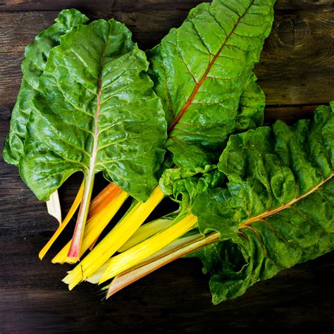 Swiss Chard Canary Yellow Premier Seeds Direct
