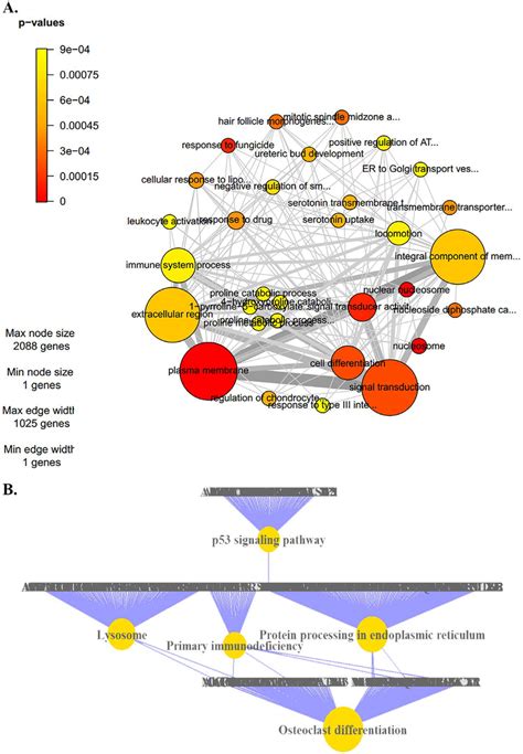 Pathway Analysis Of The Genes Gene Sets That Are Significant P