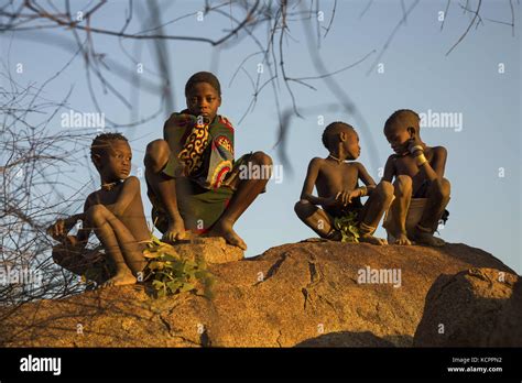 Khoisan Hunting Hi Res Stock Photography And Images Alamy