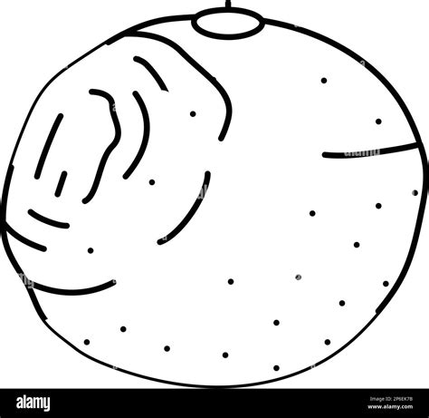 Orange Rotten Food Line Icon Vector Illustration Stock Vector Image