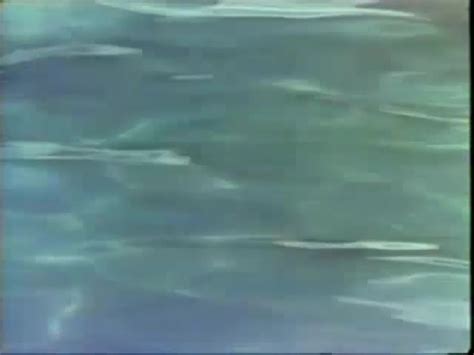 Hot Circuit 2005 Adult Empire