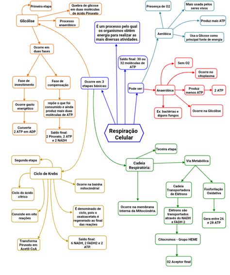 Mapa Mental Bioquimica 5