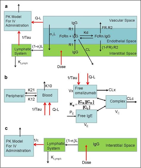 The Antibody Drug Absorption Following Subcutaneous Or Intramuscular Administration And Its