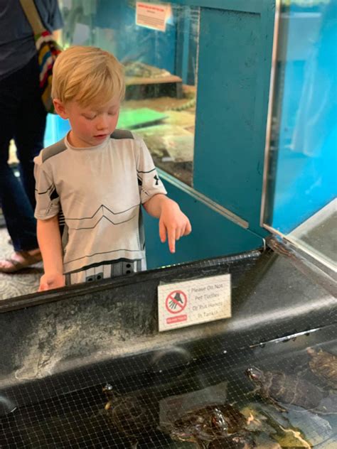 Santa Fe Ground Transportation | Santa Fe NM