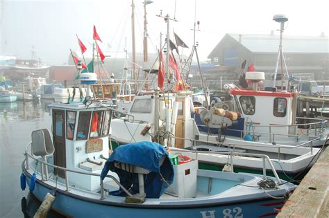 Small fishing villages should benefit too - Eurofish