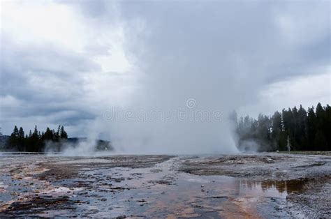 Daisy Geyser Yellowstone Stock Photos Free And Royalty Free Stock