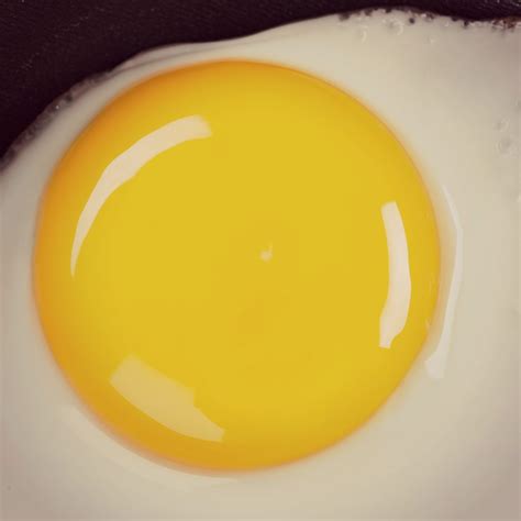 10 Healthy Breakfast Recipes Under 400 Calories - Restonic