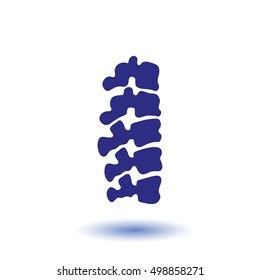 Spinal Column Icon Medical Collection Thin Stock Vector Royalty Free