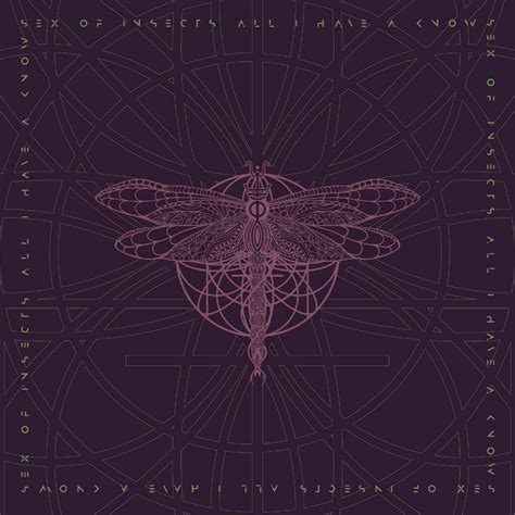 Sex Of Insects All I Have A Know Banco De Gaia Remix Ylotana