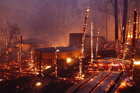 Australian Bushfires: Death Toll, Land Destroyed, and More