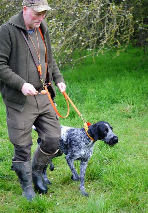 09 04 2023 Hundekurs Osterspecial VEREIN DEUTSCH DRAHTHAAR E V