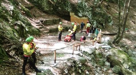 Travolto Da Albero Mentre Taglia Legna Nel Bosco Luccaindiretta