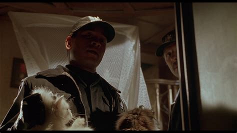 Babe Pig In The City 1998