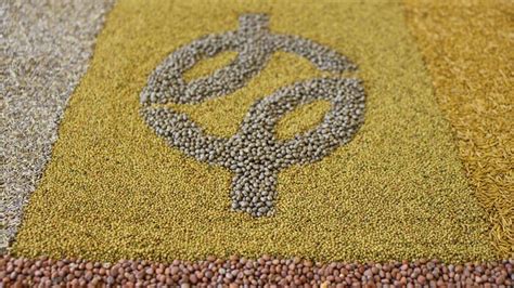 Über Uns - Feldsaaten Freudenberger