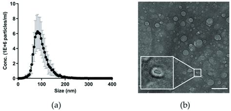 Characteristic features of plasma nanoparticles. Nanoparticle tracking... | Download Scientific ...