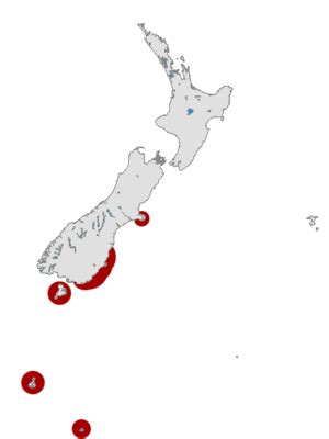 Yellow-eyed penguin Facts for Kids