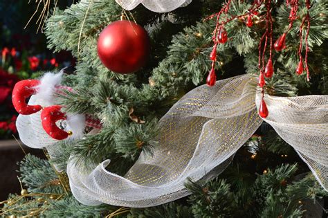 images branch flower holiday fir decor christmas tree
