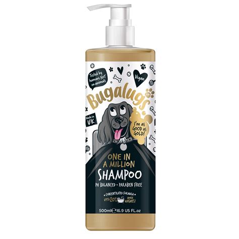 Home Remedies for Smelly Dog: Effective Solutions for a Fresh and