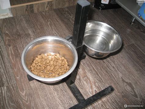 Сухой корм для собак Джина ( Gina ) - «ФОТО Для моей собаки это ...