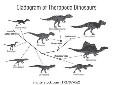 Theropoda Images, Stock Photos & Vectors | Shutterstock