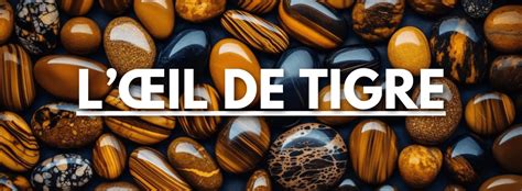 Lœil De Tigre Un Voyage Fascinant à Travers Les Âges