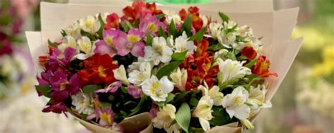 Цветочный комплимент | Магазин цветов и товаров для праздника 2025 ...