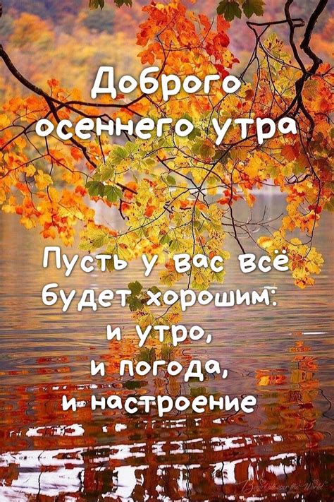 Утро/🍂Осень🍂 | Good morning cards, Good morning gif, Good morning