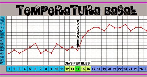 O Que E Temperatura Basal - Temperatura basal ~ Antes, durante y despues del embarazo
