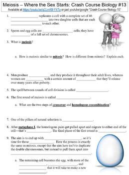 Crash Course Biology Meiosis Where The Sex Starts Worksheet