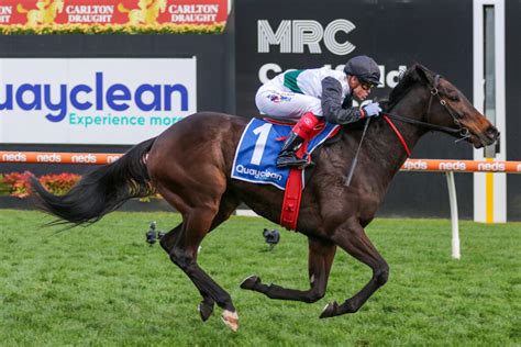 Mr Brightside And I Wish I Win To Fight Out Favouritism In Memsie Stakes