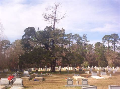 Digital mapping will soon make exploring the Dry Creek Cemetery easier 8