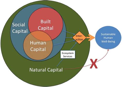 Ecosystems Services What Are They And Why Are They So Important PEO SA