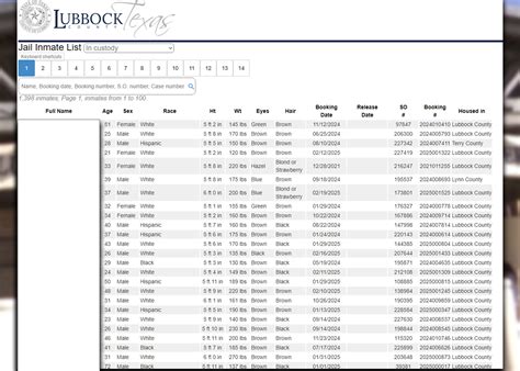 How to look at the Lubbock jail roster?