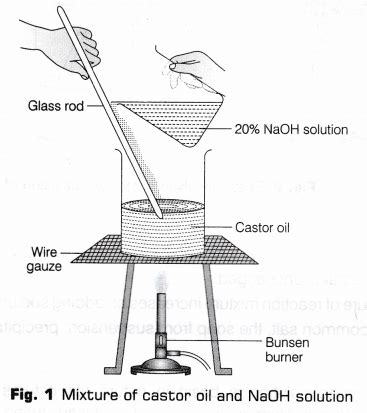 Cbse Class 10 Science Lab Manual Types Of Reactions Artofit