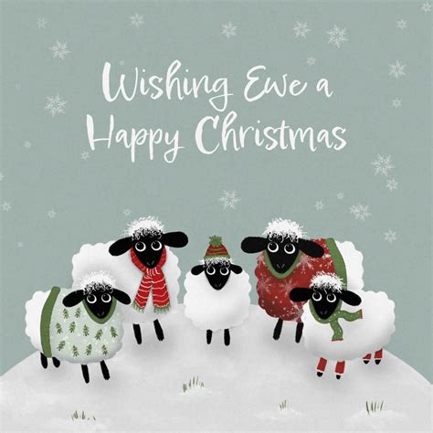 Sheep Pack Of 10 Christian Christmas Cards