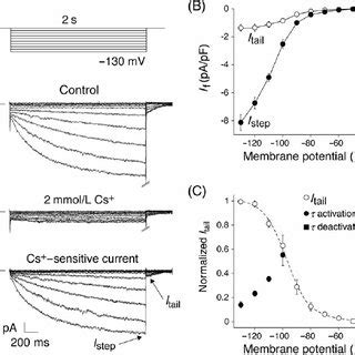 Voltage And Time Dependence Of The Hyperpolarization Activated Inward