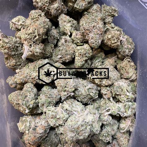 Alaskan Thunder Fuck Buy Weed Online Buyweedpacks