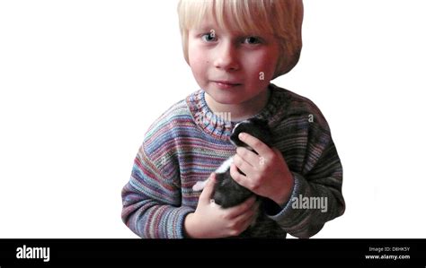 Boy With Kitten Stock Photo Alamy