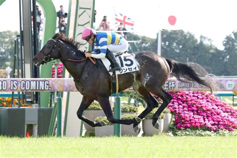 エリザベス女王杯当日の京都競馬場の芝の状態は 岩田望来騎手「非常にいいですよ」 スポーツ報知