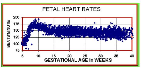 Heart Rate Gender Prediction Fetal Heartbeat Speed Analysis Off