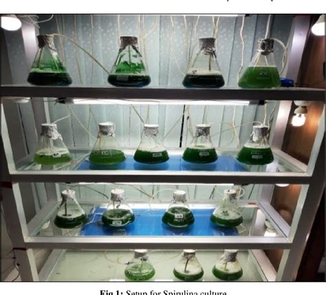 Figure 1 From Evaluation Of Lab Scale Cultivation To Assess The Growth