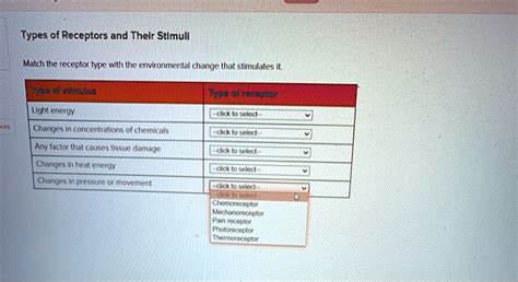 SOLVED: Types of Receptors and Their Stimuli Match the receptor type ...
