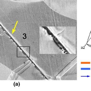 a) Yellow arrows identify T2 twins in Grains 1 and 2. At the upper end ...