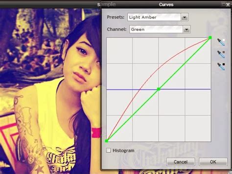 Cara Mudah Edit Foto Efek Retro Online