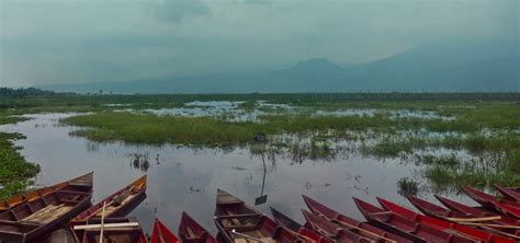 Gambar Rawa Perahu Danau Sungai Kendaraan Jalan Air Berperahu