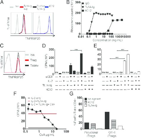 In vitro functional activity of TL1A-Ig. (A) P815 cells were stably ...