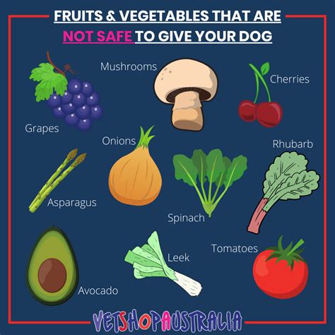 What Fruit Can Dogs Not Eat