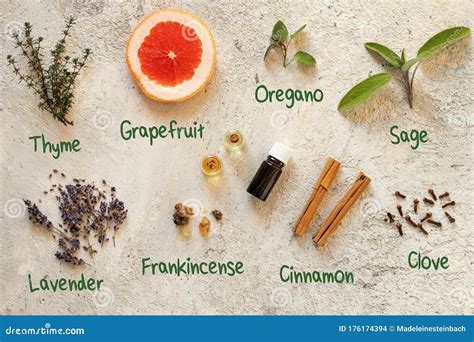 Antibacterial, Antiviral and Immune-boosting Essential Oils, Top View ... 